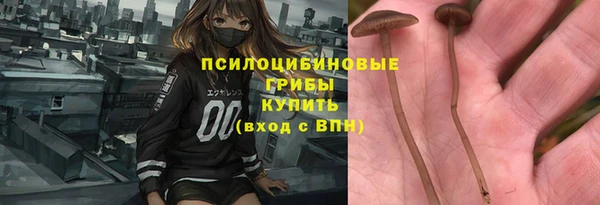 твердый Балахна