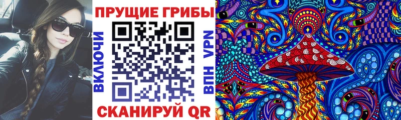 Псилоцибиновые грибы GOLDEN TEACHER  ОМГ ОМГ tor  Новый Оскол 